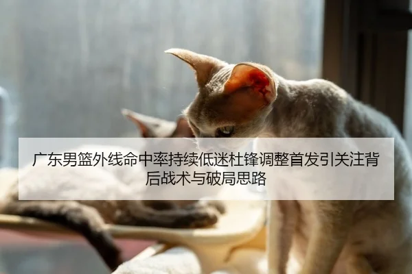 广东男篮外线命中率持续低迷杜锋调整首发引关注背后战术与破局思路